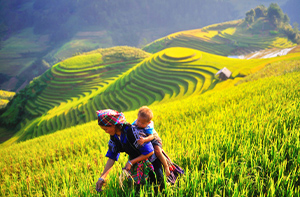 Day 2: Nghia Lo - Mu Cang Chai (Breakfast, Lunch, Dinner)